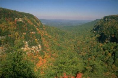 Cloudland Canyon Overlook