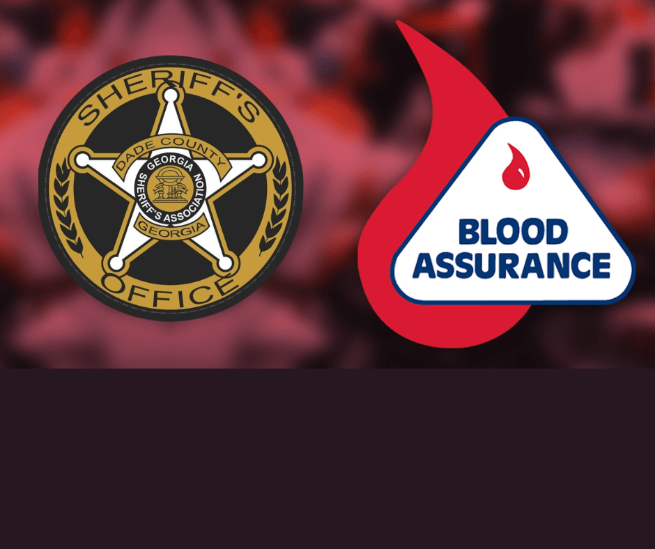 Untitled design (15)