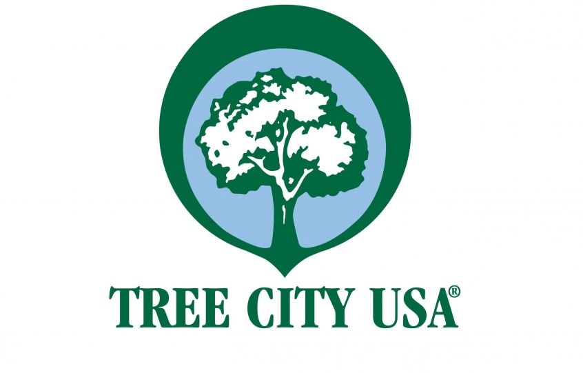 Tree City Logo